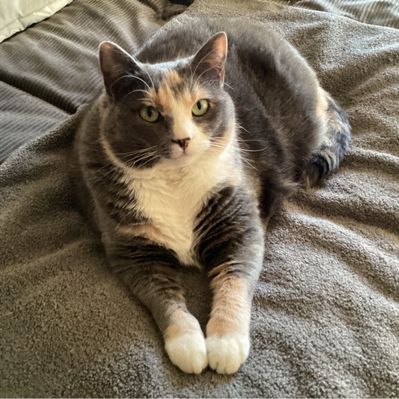 Meet your Posher, Nicolle - Picture 9 of 10